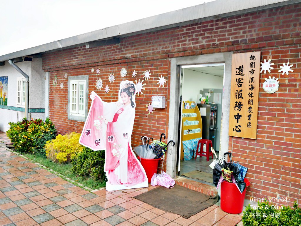 05桃園彩色海芋季.JPG