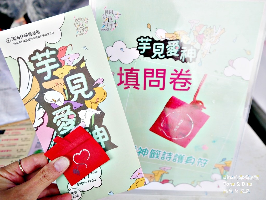 19桃園彩色海芋季.JPG