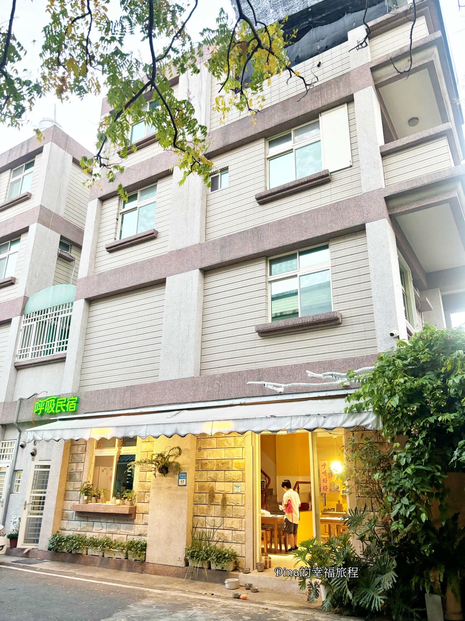 【花蓮住宿】呼吸民宿。超親民的貓咪民宿，週邊美食多、地址位置佳