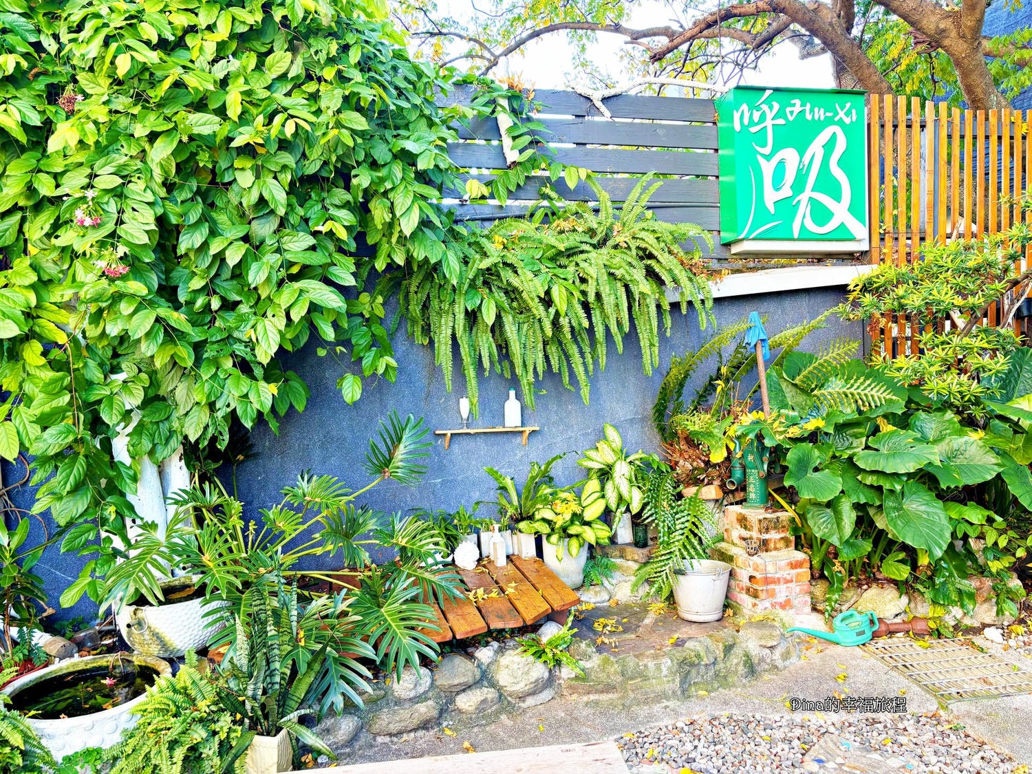 【花蓮住宿】呼吸民宿。超親民的貓咪民宿,週邊美食多、地址位置佳 - 第4張圖 【花蓮住宿】呼吸民宿。超親民的貓咪民宿,週邊美食多、地址位置佳