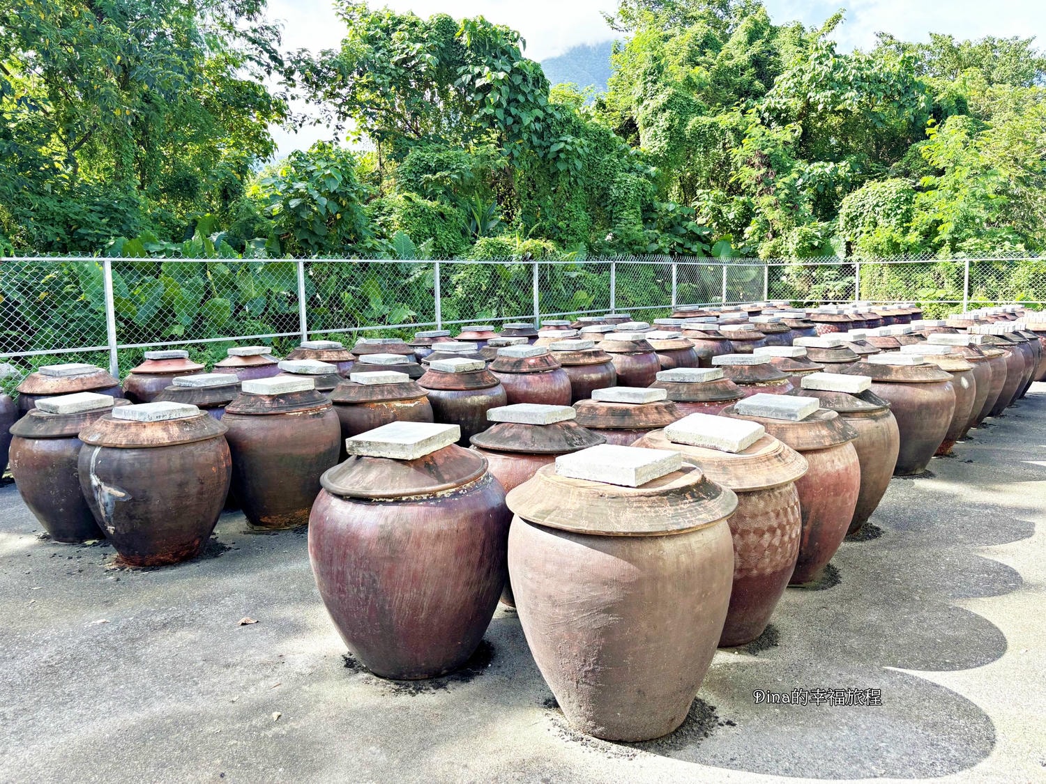 【花蓮親子體驗】一品醇醬油。詳細導覽參觀醬油製做過程、親子互動DIY醬油烤仙貝。假日雨天備案親子遊好去處