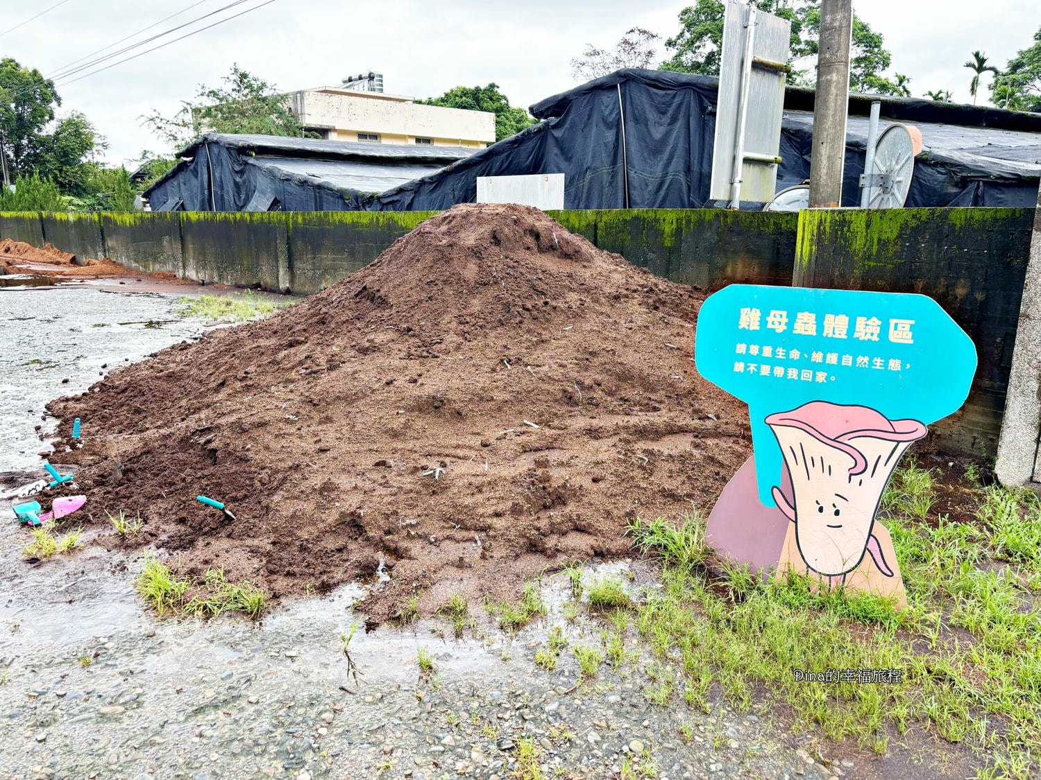 【南投景點】豐年靈芝菇類生態農場。免門票親子採香菇景點/認識各種類香菇/多款香菇週邊商品伴手禮/認識雞母蟲/南投雨天備案景點 - 第3張圖 【南投景點】豐年靈芝菇類生態農場。免門票親子採香菇景點/認識各種類香菇/多款香菇週邊商品伴手禮/認識雞母蟲/南投雨天備案景點