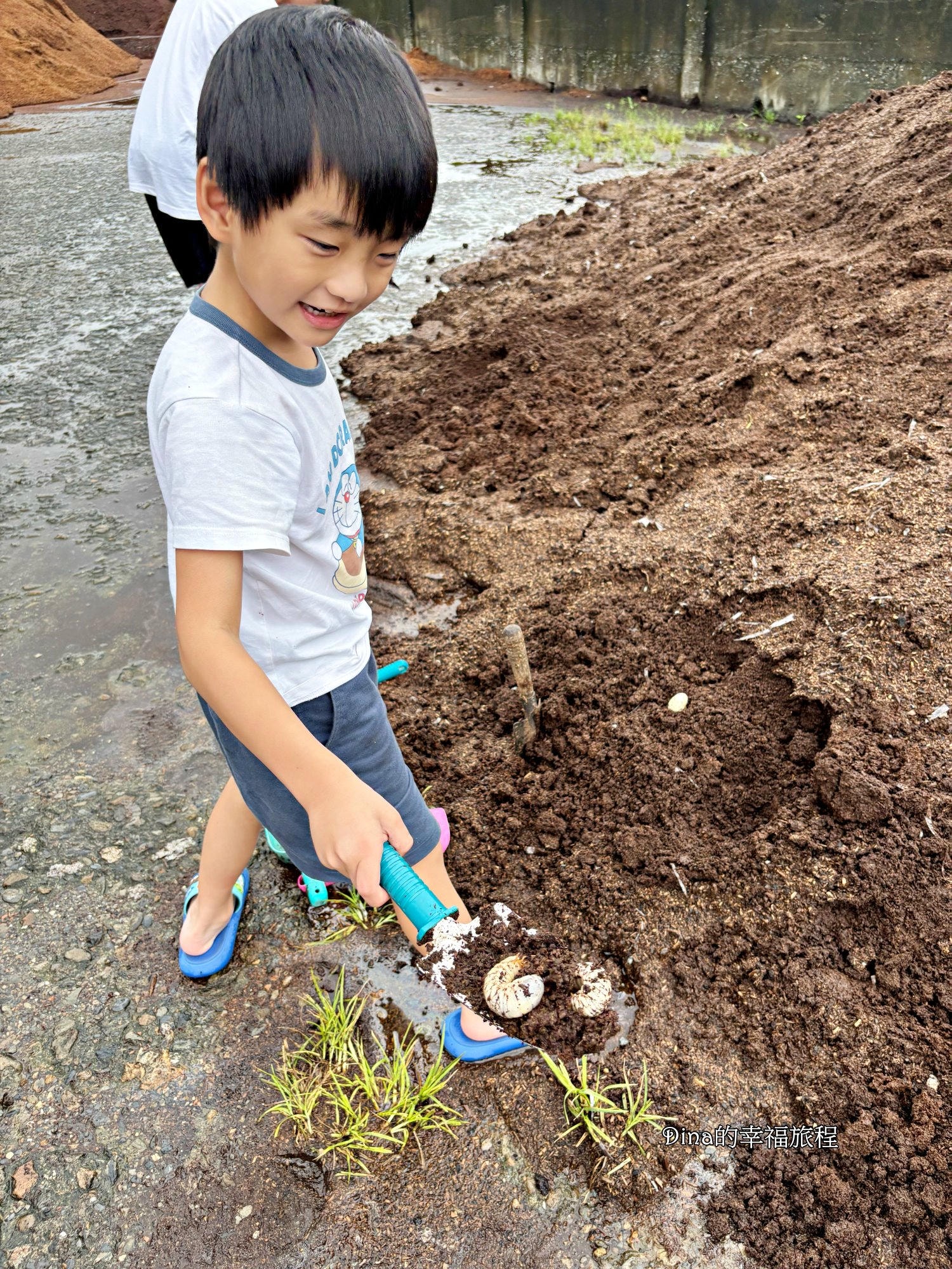 【南投景點】豐年靈芝菇類生態農場。免門票親子採香菇景點/認識各種類香菇/多款香菇週邊商品伴手禮/認識雞母蟲/南投雨天備案景點 - 第5張圖 【南投景點】豐年靈芝菇類生態農場。免門票親子採香菇景點/認識各種類香菇/多款香菇週邊商品伴手禮/認識雞母蟲/南投雨天備案景點