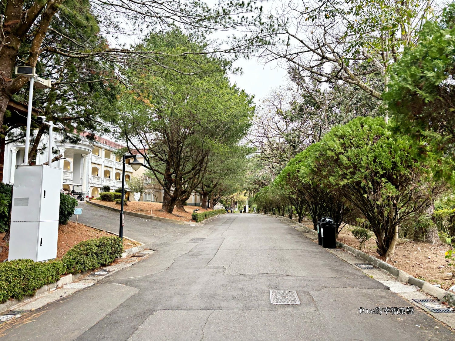 【南投住宿】泰雅渡假村。和孩子一起體驗泰雅族文化、親近大自然/營火晚會烤綿花糖/泡溫泉/高空挑戰體驗/勇士二日遊