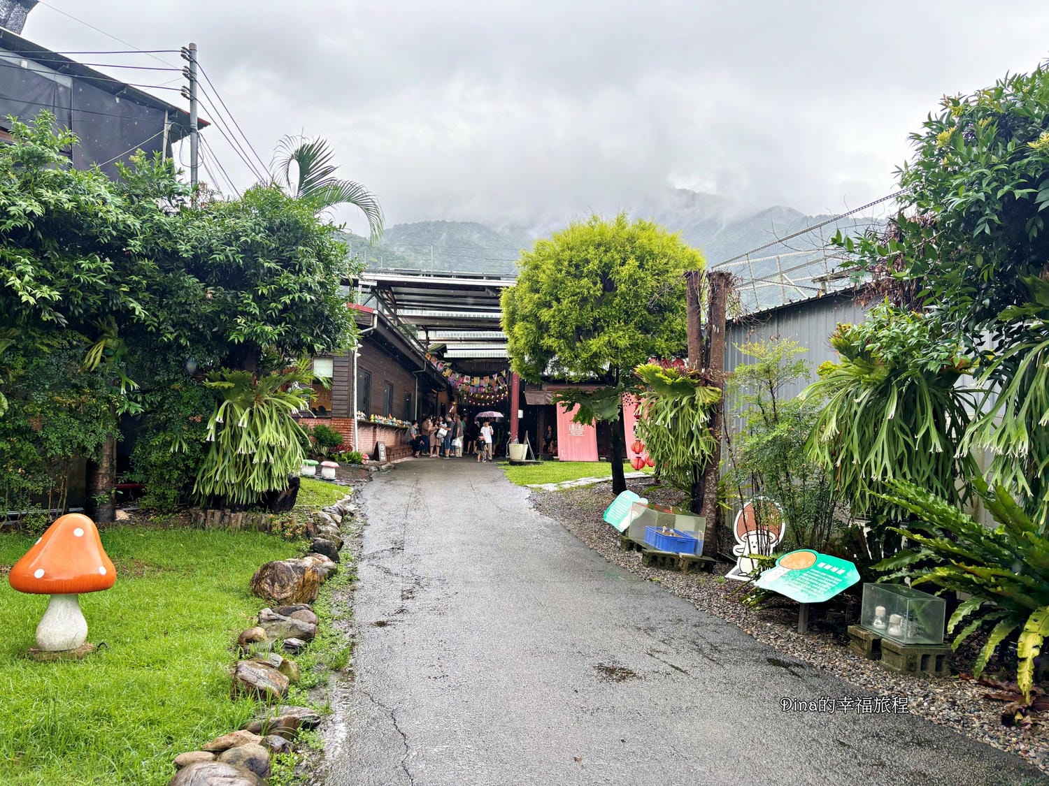 【南投景點】豐年靈芝菇類生態農場。免門票親子採香菇景點/認識各種類香菇/多款香菇週邊商品伴手禮/認識雞母蟲/南投雨天備案景點