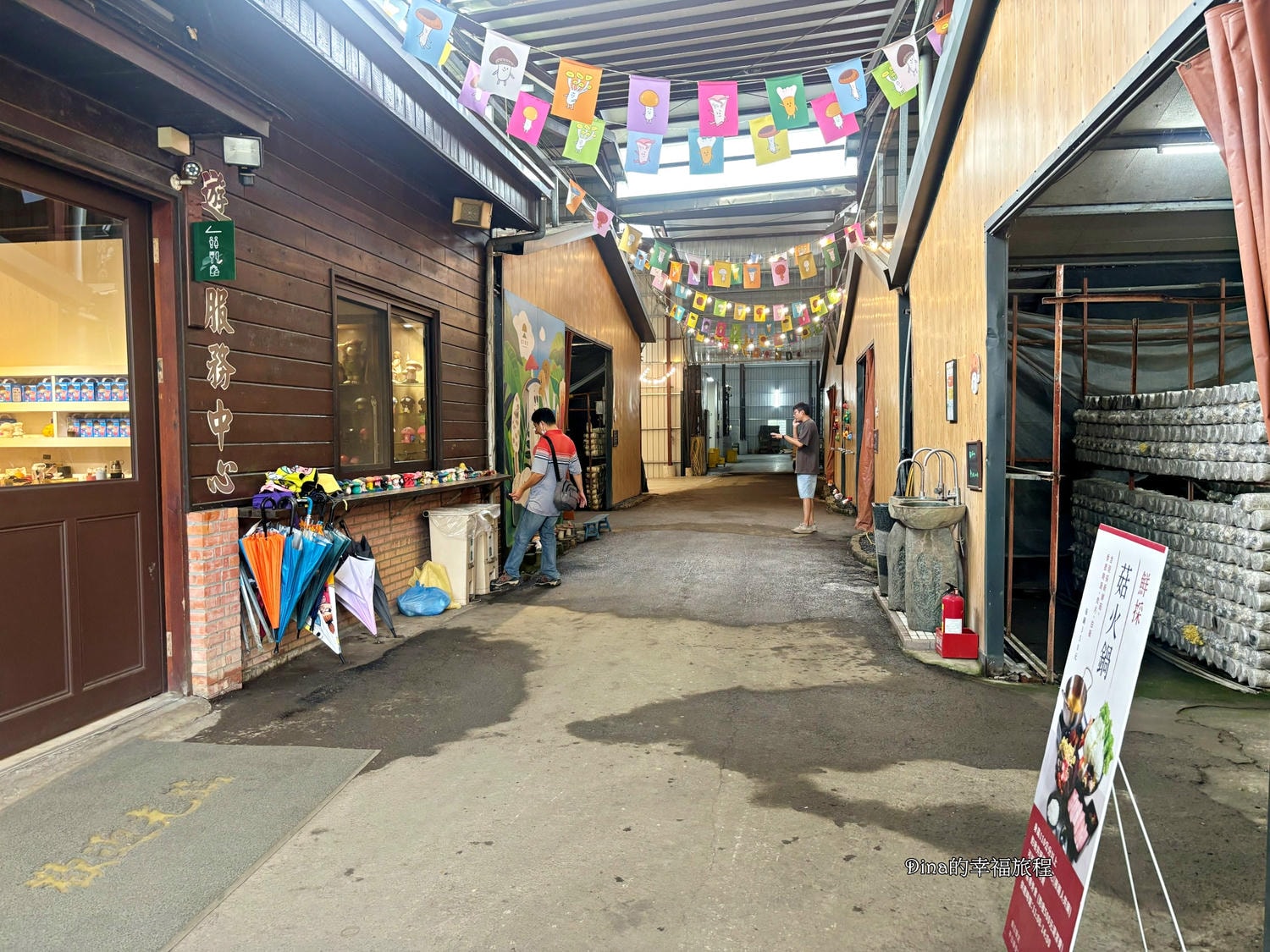 【南投景點】豐年靈芝菇類生態農場。免門票親子採香菇景點/認識各種類香菇/多款香菇週邊商品伴手禮/認識雞母蟲/南投雨天備案景點 - 第8張圖 【南投景點】豐年靈芝菇類生態農場。免門票親子採香菇景點/認識各種類香菇/多款香菇週邊商品伴手禮/認識雞母蟲/南投雨天備案景點