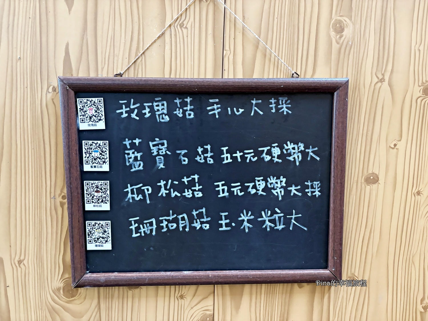 【南投景點】豐年靈芝菇類生態農場。免門票親子採香菇景點/認識各種類香菇/多款香菇週邊商品伴手禮/認識雞母蟲/南投雨天備案景點